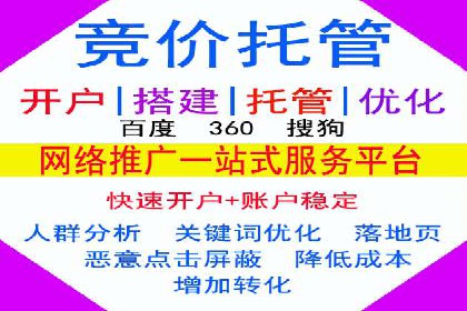 SEM托管服务，成功案例展示转化优势